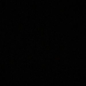 Meet your Posher, Lauryann